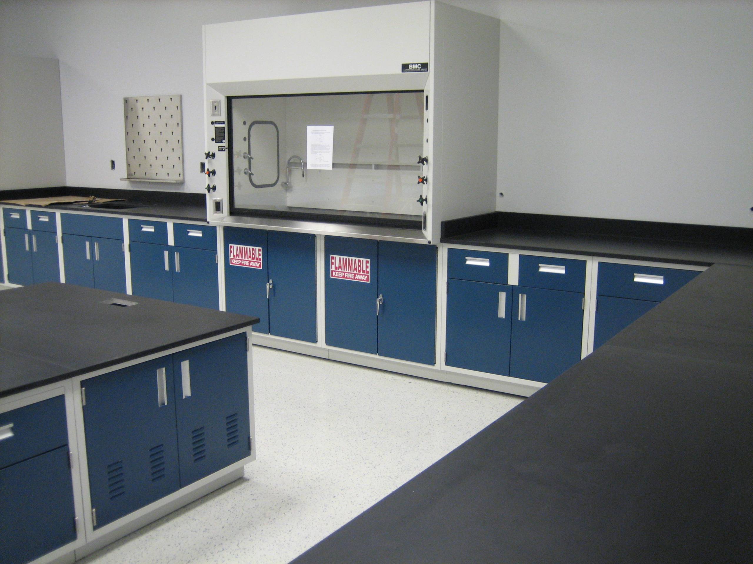 Custom Fume Hood and Casework